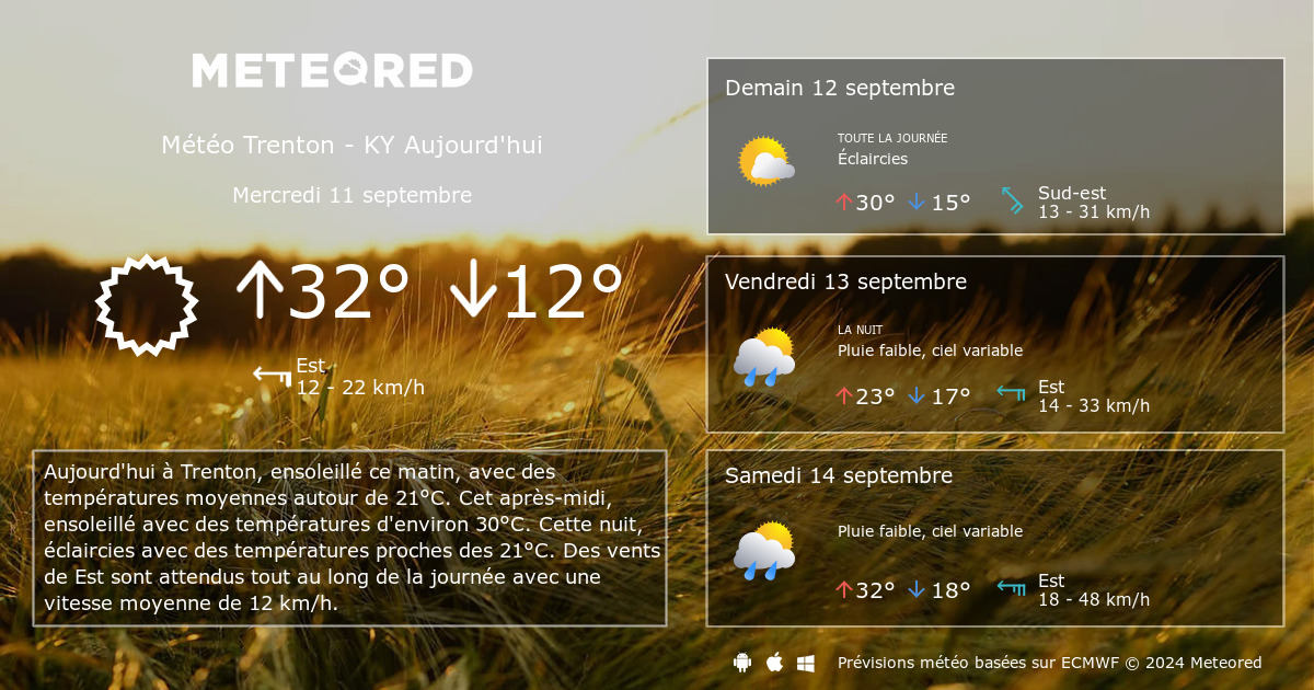 Погода в арзамасе meteo 7