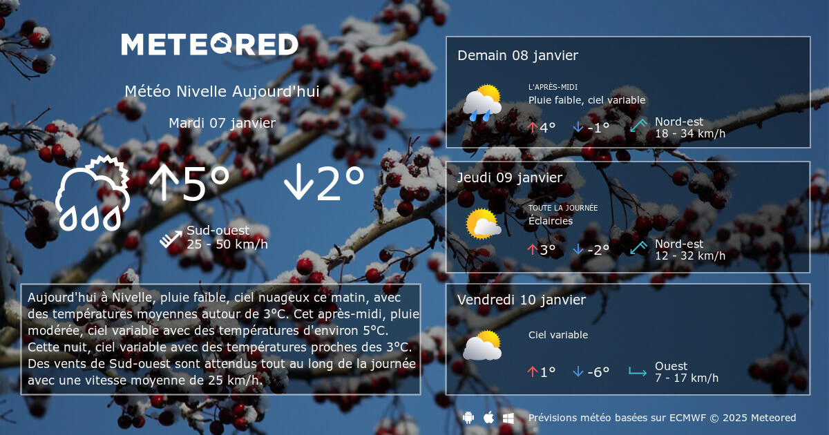 Météo Nivelle 14 jours - tameteo.com | Meteored